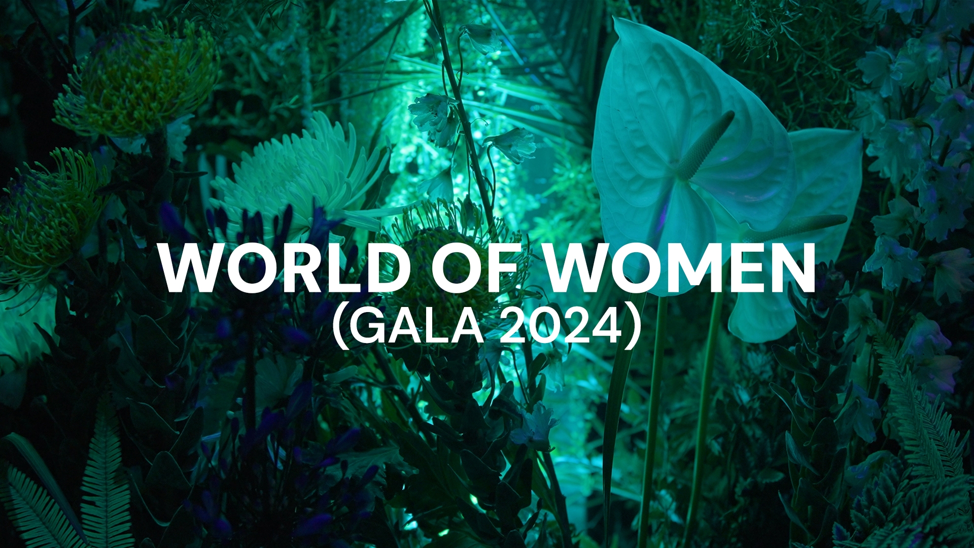 World of Women Gala Image